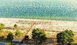 Mare Leon